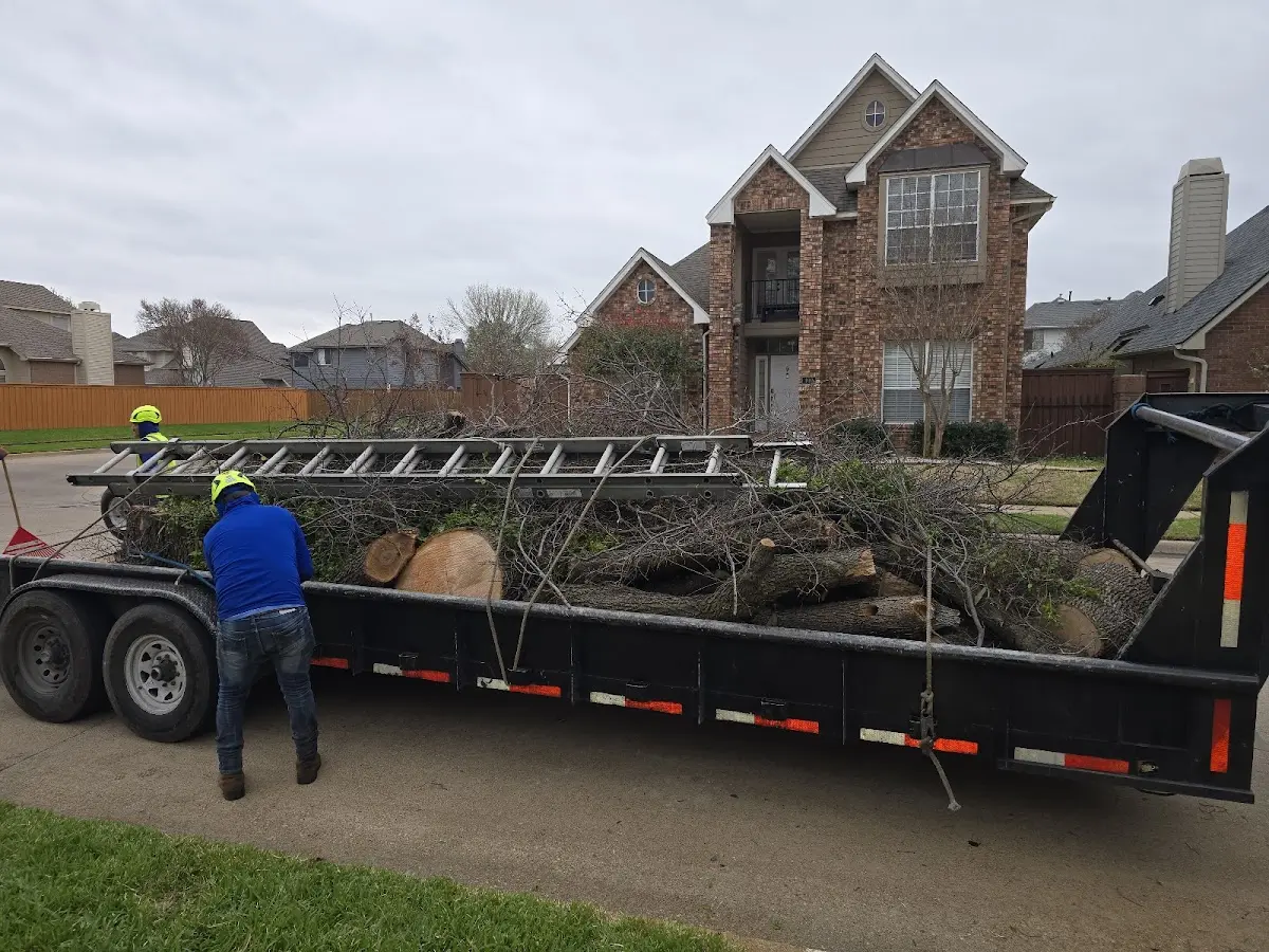 Expert Tree Fertilization with proper safety equipment in Kingston Springs
